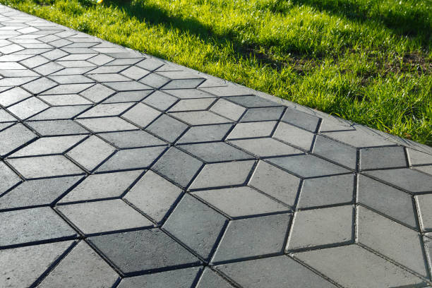 Best Local Driveway Pavers  in Forest Hill, TX